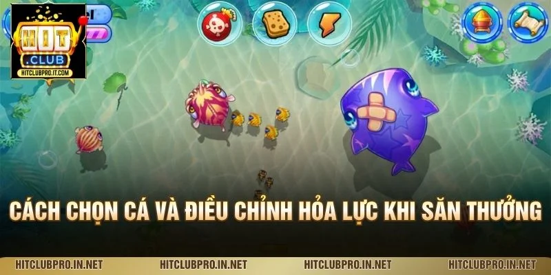 Bắn Cá 3D HitClub: Cách Chơi, Tính Năng Và Kinh Nghiệm 3 Cách chọn cá và điều chỉnh hỏa lực khi săn thưởng