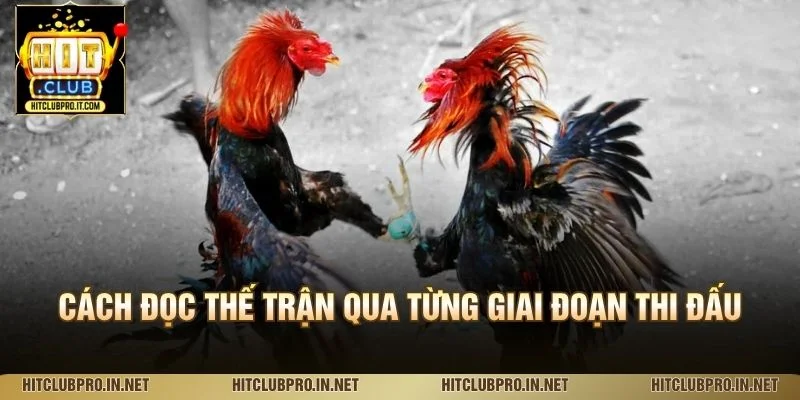 Cách đọc thế trận qua từng giai đoạn thi đấu