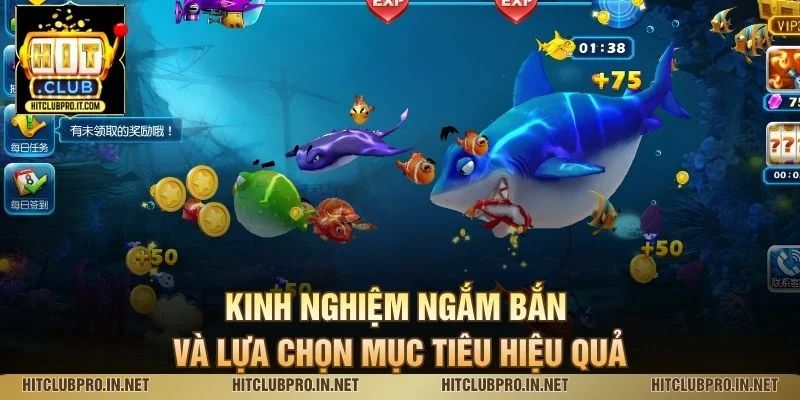 Bắn Cá 3D HitClub: Cách Chơi, Tính Năng Và Kinh Nghiệm 4 Kinh nghiệm ngắm bắn và lựa chọn mục tiêu hiệu quả