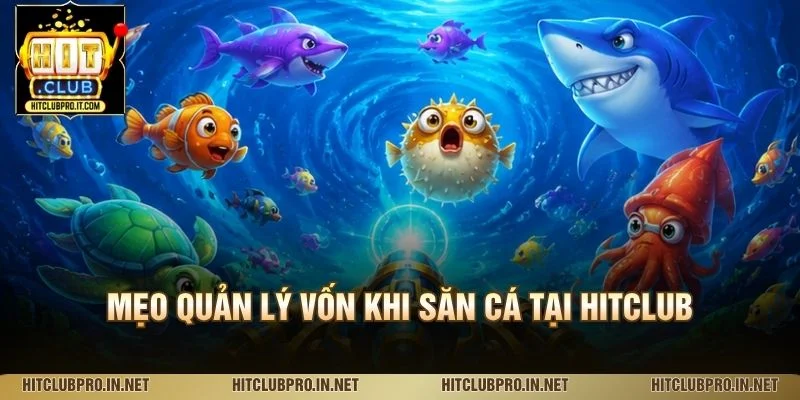 Mẹo quản lý vốn khi săn cá tại HitClub