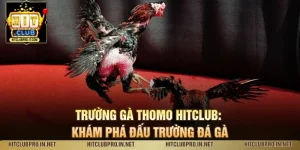 Trường Gà Thomo HitClub: Khám Phá Đấu Trường Đá Gà